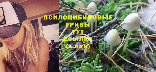 метадон Абинск