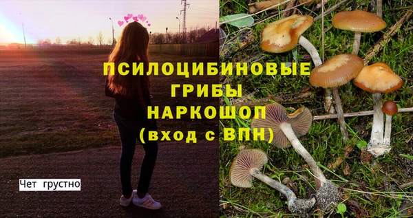 метадон Абинск
