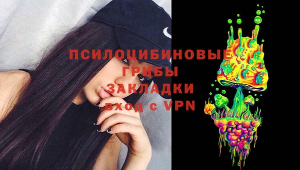 стафф Абаза
