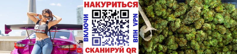Конопля ГИДРОПОН  Ивантеевка 